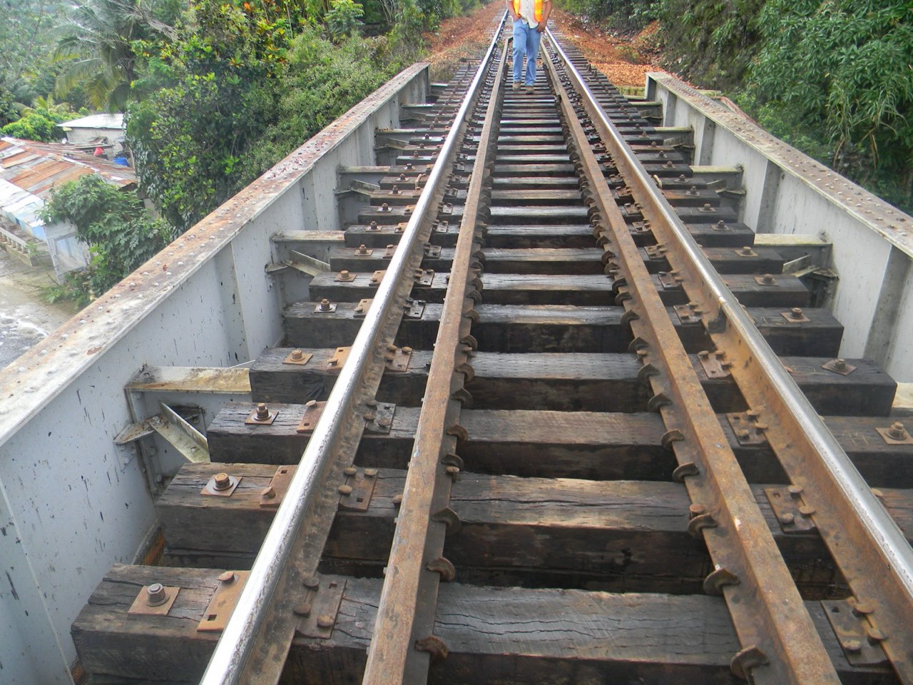 Retreat Railway Bridge — bridge deck and track