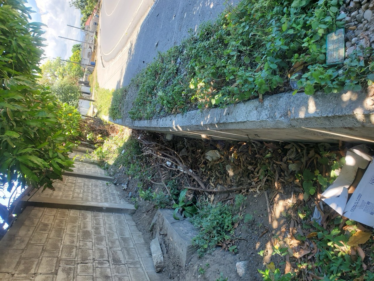 Stormwater Drainage and Earthworks Assessments — drain, morant bay